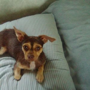 Meet your Posher, Gary